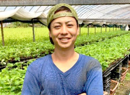 2016年に佐川町でいちご農家になった小松さん