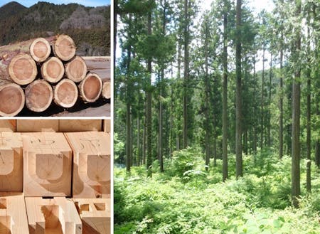 森林資源が豊かな鹿沼市は素材から製品まで幅広い業種展開ができます。