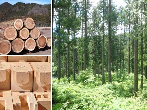 森林資源が豊かな鹿沼市は素材から製品まで幅広い業種展開ができます。