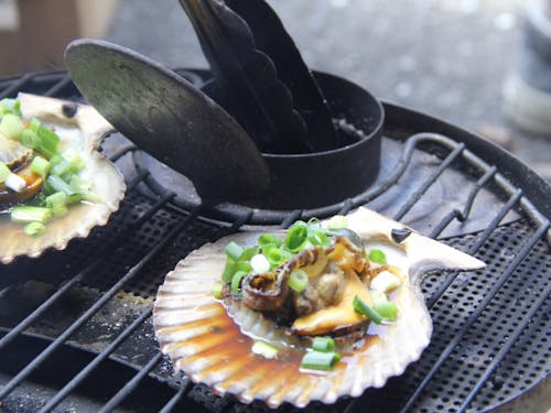 【須崎市】長太郎貝