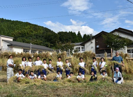 【教育活動】江府小学校児童による稲刈り体験学習