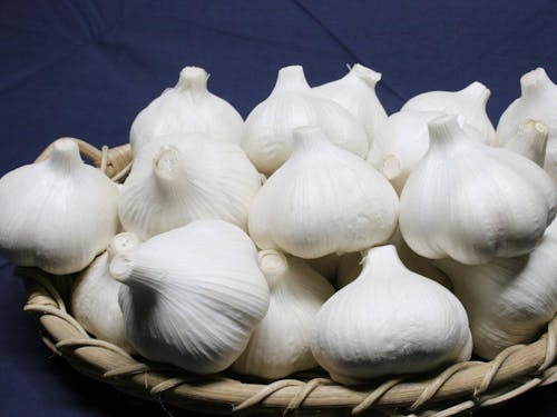 田子町が誇る「たっこにんにく」。町中にいろんなオブジェが!