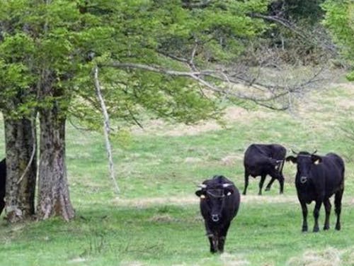 ちょっと遠めですが。
