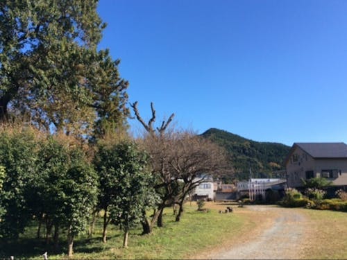 鬼石地域の風景