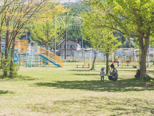 広々とした公園