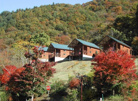 上野村のアウトドアリゾート施設「まほーばの森」