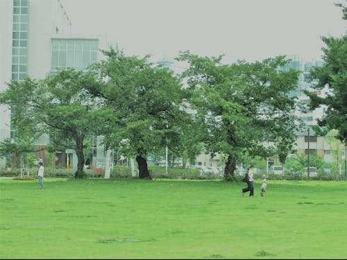 長野駅東口公園