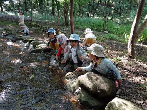 保育園の周りには自然がいっぱい