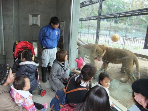 入場無料の動物園「桐生が岡公園」