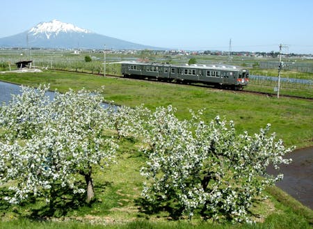 岩木山をバックにりんご畑を走り抜ける弘南鉄道