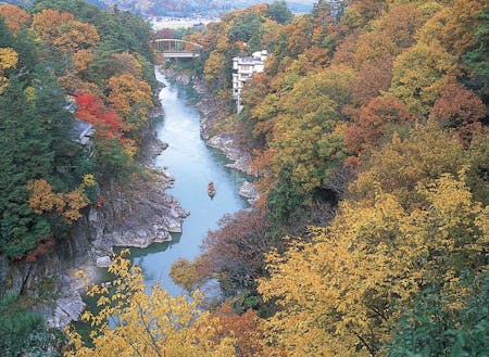 飯田市の観光地、天龍峡の紅葉