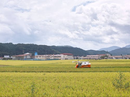 田園の奥には、役場と幼稚園、小中学校。