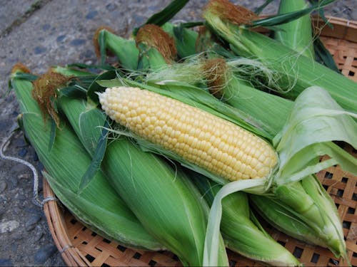 西都産のスイートコーン