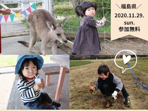 11月29日、視聴型で開催です!