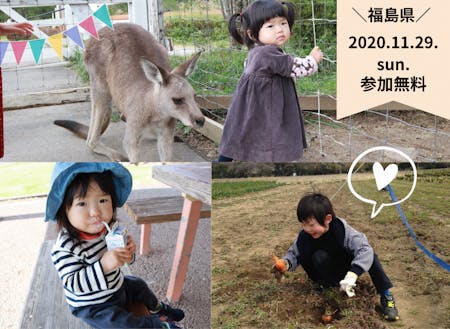 11月29日、視聴型で開催です!
