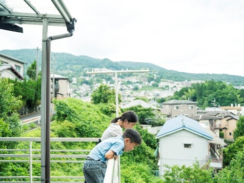 庭のレモンの木にひかれてリノベーション