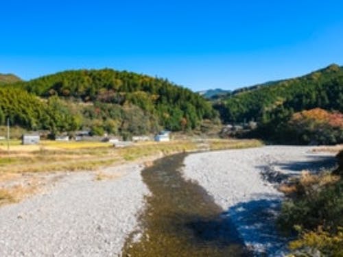相談会実施市町村：田辺市