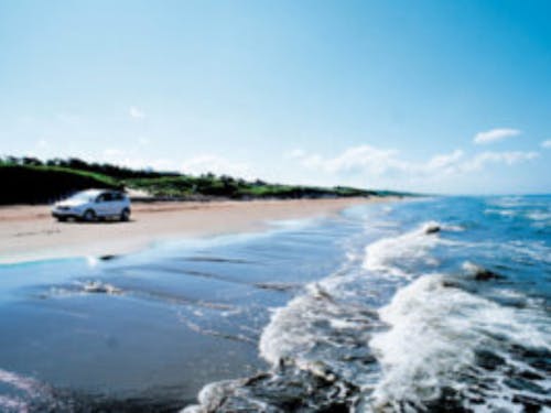 日本で唯一の車で走れる砂浜。お子さんとのお出かけにぴったり