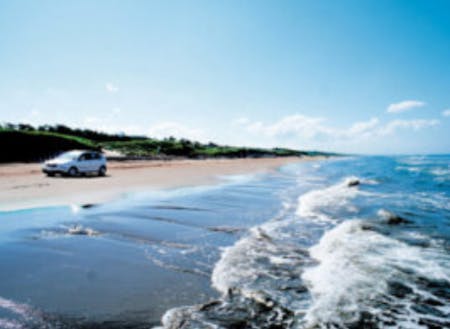 日本で唯一の車で走れる砂浜。お子さんとのお出かけにぴったり