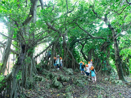 自然豊かな園の近隣へお散歩へ出かけることも