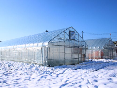 2020年9月に完成したばかりのビニールハウス