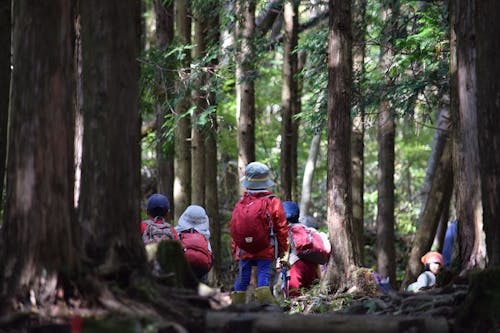 森のようちえん