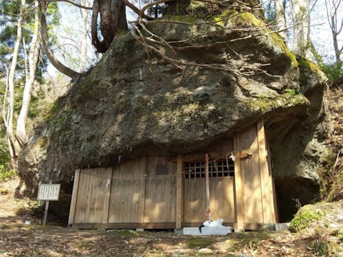 縁結びのパワースポット三石神社でくつろぐ隊員の愛猫