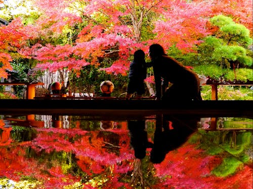 寿福寺の「逆さ紅葉」(佐世保観光コンベンション協会提供)