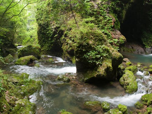 四国せいよジオパーク 桂川