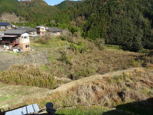 耕作放棄地現状①