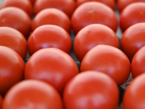 デアルケのトマト1