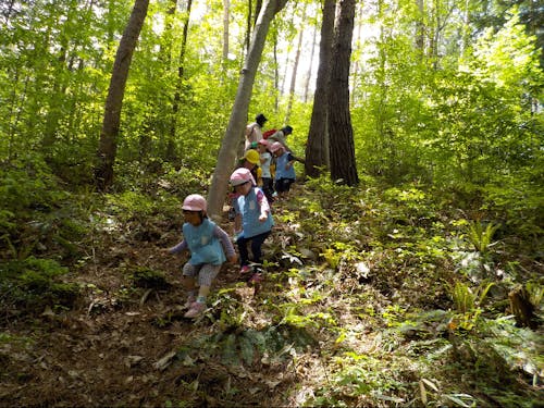 飯田市では全公立保育園で自然保育に取り組んでいます
