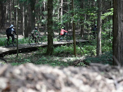 地形を活かした自転車もさかん
