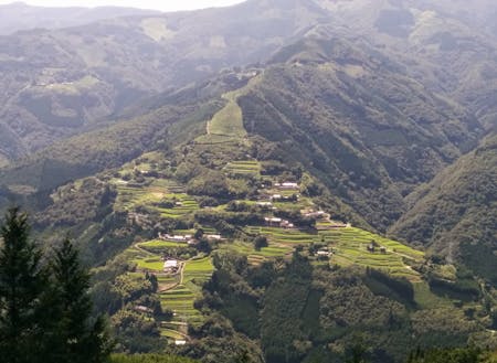 日本のマチュピチュとも呼ばれる棚田の風景