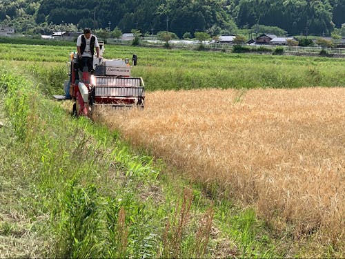 季節折々、旬な野菜を育てています。