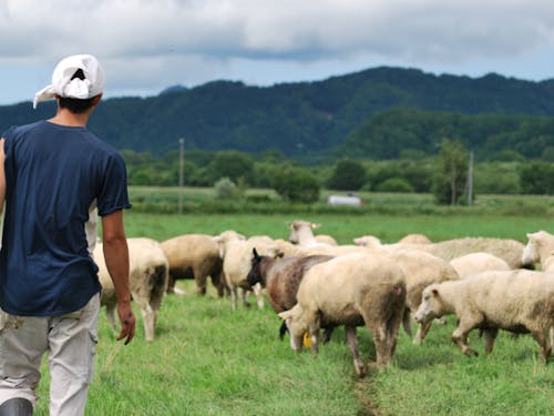 山も海もあり、自然豊かな町です