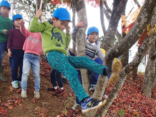 市内の全公立保育園で自然保育に取り組んでいます