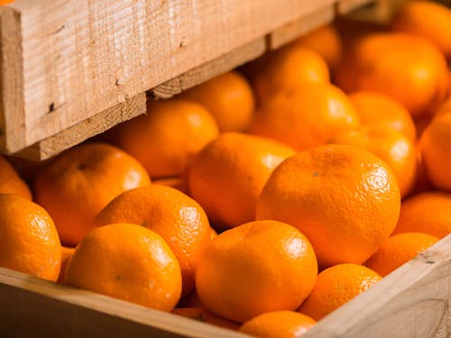 熟成みかん