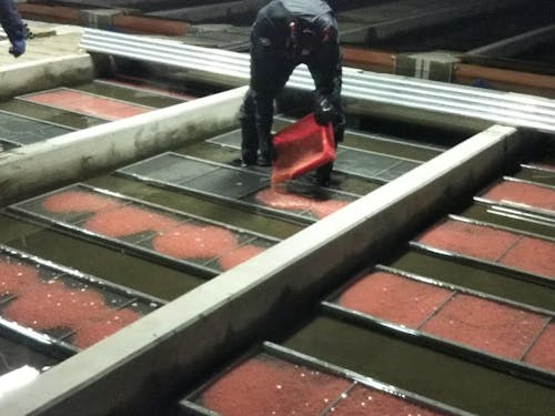 冬の時期になるとサケの卵を放流します。