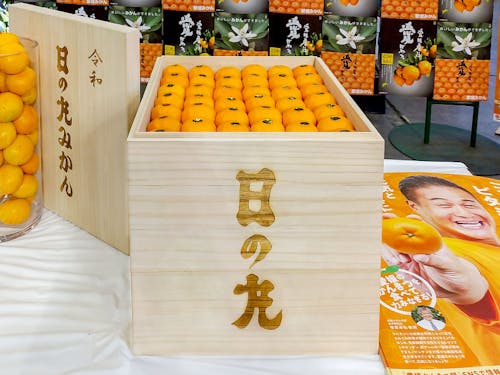 東京大田市場の初競りで、100万円で落札された日の丸みかん