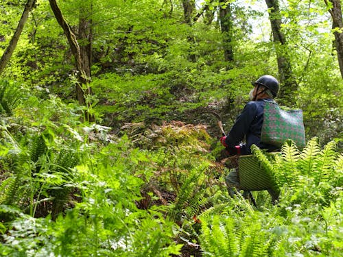 町の山菜採り名人や藁細工職人などのキーパーソンとのご縁づくりは、梶村もサポートします