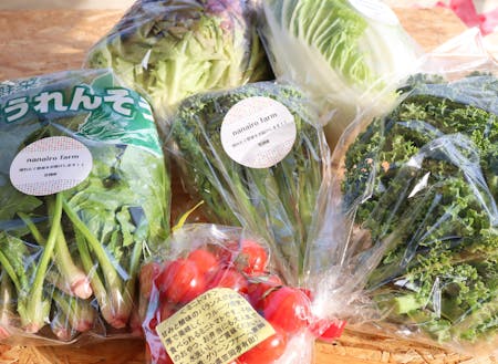６種類の野菜をお届け※野菜の種類はイメージになります。