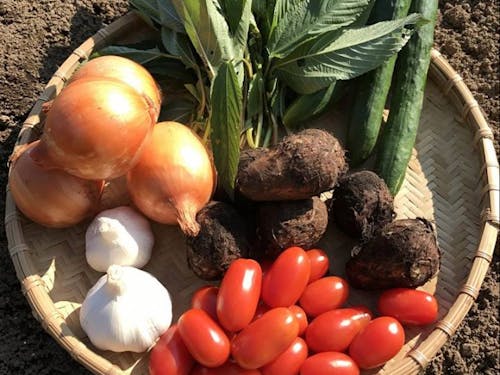 地域には隠れた「もったいない」がいっぱい!