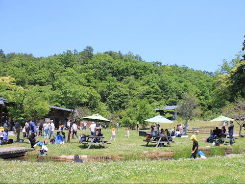 公園内では家族で楽しめるようなスペースもあります!