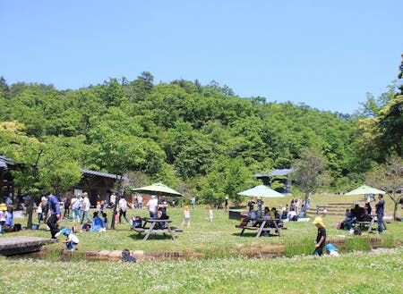 公園内では家族で楽しめるようなスペースもあります!