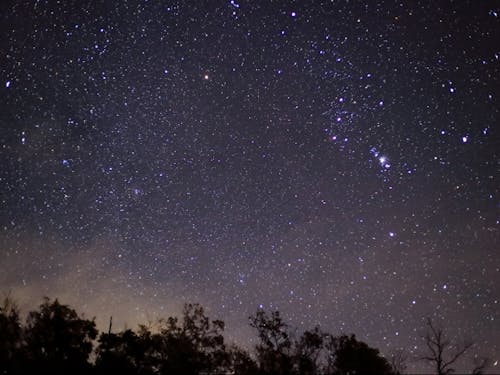 夜になれば満点の星空が眺めます！