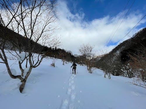 スノーシュー散策。冬の身近な遊びのひとつです。