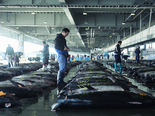 漁師さんの為に船を作ったりそこに乗せるエンジンを扱ったり