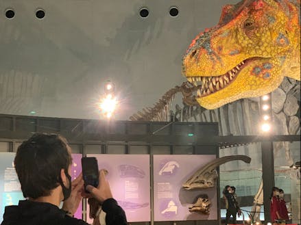 恐竜のまち 福井で恐竜 クリエイティブ デザイン アパレル アート イラスト キャラクター フードコーディネーターなど多様な分野から募集