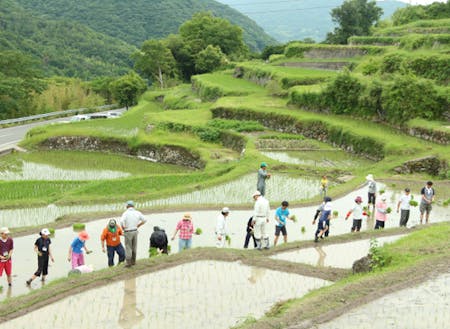中山棚田活性化推進員(イメージ)
